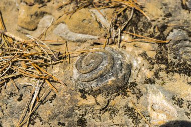 Soyut ton şablonlarının tam kare görüntüsü arka plan