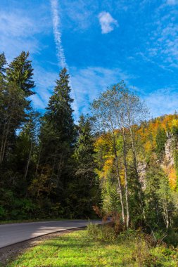 Yeşil ve mavi bulutlu gökyüzü ile büyüleyici doğa dağ manzaralı
