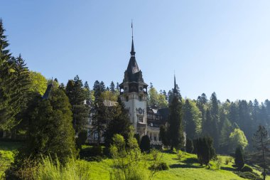 İnanılmaz vintage kale yeşil bina