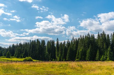 Etrafında renkli yeşil ağaçlar ile Amazing doğa
