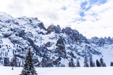 Karlı ağaçlar şaşırtıcı Doğa Manzaralı