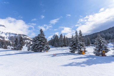 Karlı ağaçlar şaşırtıcı Doğa Manzaralı