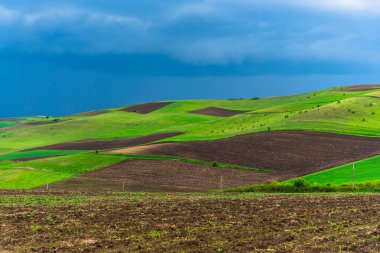 Yaz gününde inanılmaz manzara