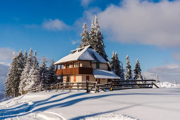 Winterlandschap Het Karpaten Gebergte — Stockfoto