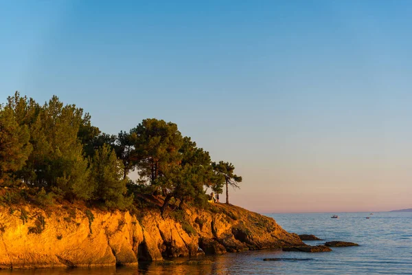 Rocky Seaside Sea Water Sunset Time Trees Growing Hill — Stock Photo, Image