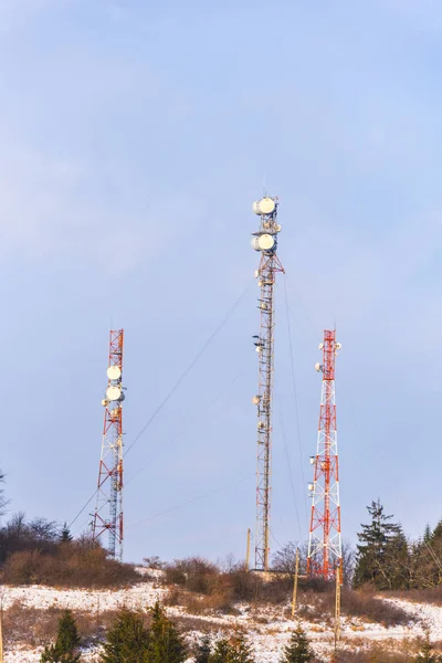 Elektrické Vedení Poli Blízkosti Lesa — Stock fotografie