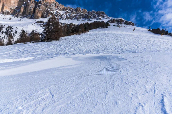 Vue Imprenable Sur Nature Avec Des Arbres Enneigés — Photo