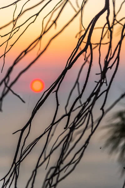 Amazing sunset with warm sea behind the trees