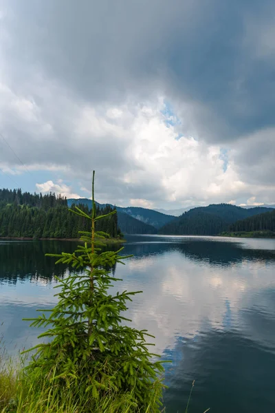 Nehir ve yeşil ağaçlar etrafında Awesome doğa görünümü