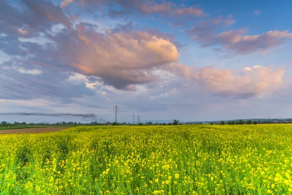 Niesamowity Widok Natura Pochmurnego Nieba Tło — Zdjęcie stockowe