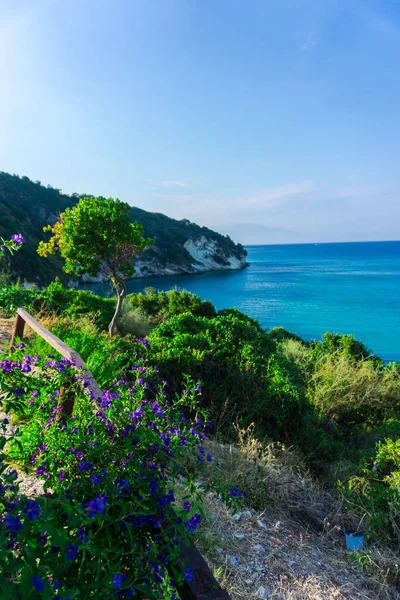 Vista Fascinante Natureza Com Lagoa Azul — Fotografia de Stock