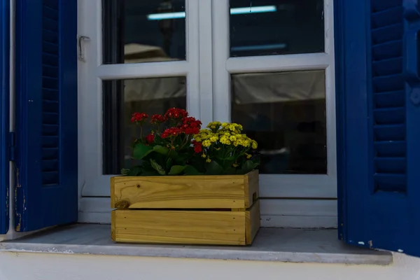 Fensterbank Mit Blumen — Stockfoto