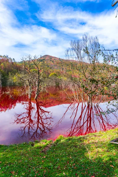 Vista Impressionante Natureza Com Laranja Colorido Rio Árvores Verdes Redor — Fotografia de Stock