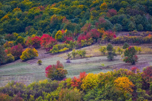 Fascinující Příroda Mountain View Zeleně Modré Oblohy Jasno — Stock fotografie