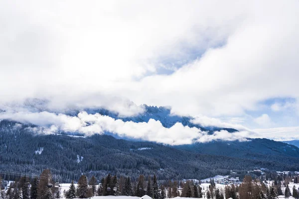 雪に覆われた木々 の素晴らしい自然の風景 — ストック写真