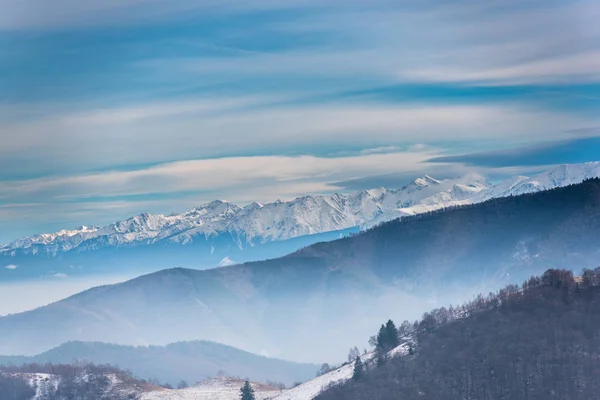 令人惊叹的自然景观与雪树 — 图库照片