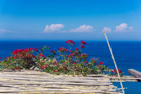 Cute flowers on ocean view background