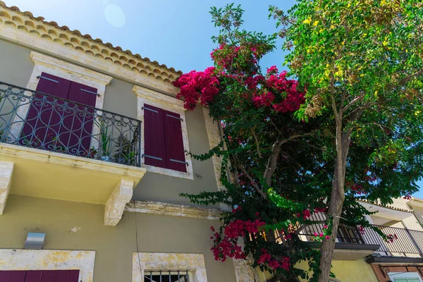 Roze Bloeiende Boom Door Huis Fel Zonlicht — Stockfoto