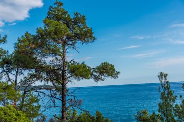 Yeşil ağaçlar ve mavi deniz