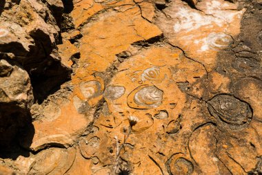 Sıkı dokulu duvar kaydırma ile kafa