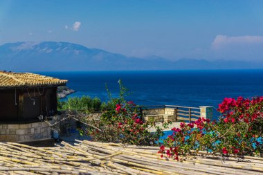 Arka planda güzel deniz manzarası ile Çiçekler