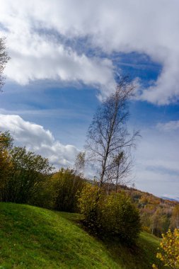 Ağaçlar ve bulutlu gökyüzü arka plan şaşırtıcı doğa manzaralı