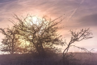 Gölün üzerinde güzel bir gün batımı.