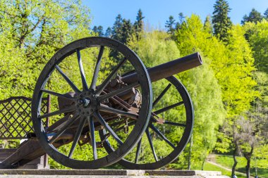 Parktaki eski bisiklet..