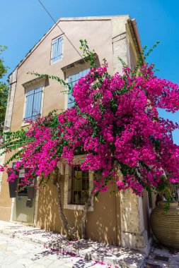 pembe çiçek açan ağaç evi parlak güneş ışığı altında tarafından
