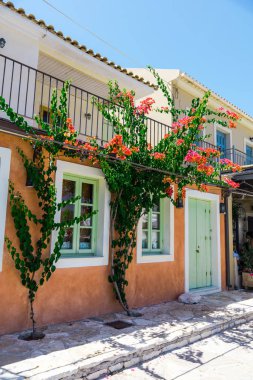 Küçük tatil evi tarafından yeşil çiçek açan ağaçlar