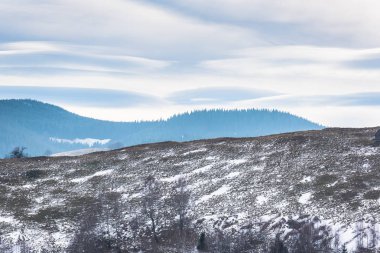 Karlı ağaçlar şaşırtıcı Doğa Manzaralı