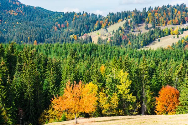 Faszinierende Natur Bergblick Mit Viel Grün Und Blauem Bewölkten Himmel — Stockfoto