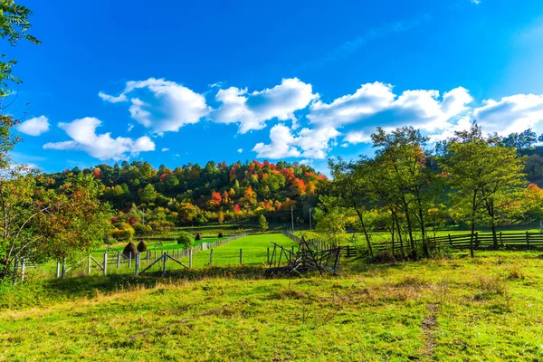 Increíble Naturaleza Con Árboles Coloridos Alrededor —  Fotos de Stock