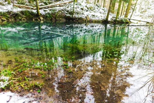 Reflection River Surface Forest — Stock Photo, Image