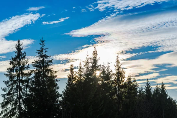 Increíble Vista Naturaleza Con Árboles Cielo Nublado Fondo — Foto de Stock