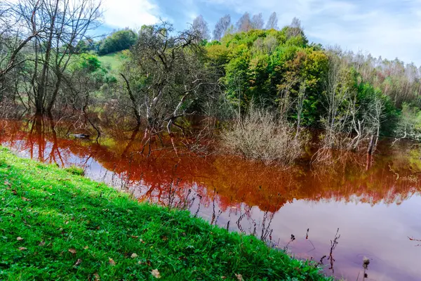 Impresionante Vista Naturaleza Con Río Color Naranja Árboles Verdes Alrededor —  Fotos de Stock