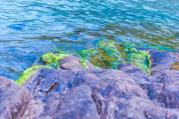 Affascinante Vista Sulla Natura Con Laguna Blu — Foto Stock