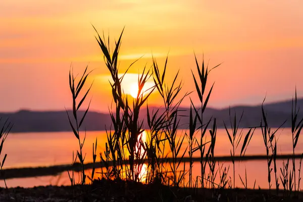 Enfoque Selectivo Del Cielo Atardecer Dramático Sobre Río — Foto de Stock