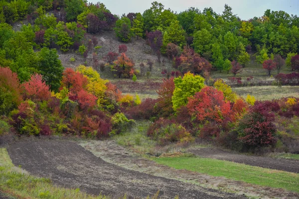 Increíble Naturaleza Con Árboles Coloridos Alrededor —  Fotos de Stock