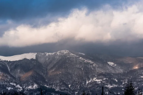 Karlı ağaçlar şaşırtıcı Doğa Manzaralı