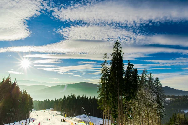 Paisaje Invernal Con Árboles Cubiertos Nieve — Foto de Stock