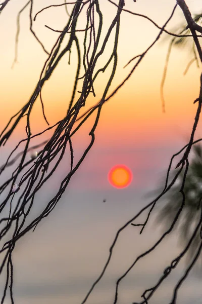 Pôr Sol Incrível Com Mar Quente Atrás Das Árvores — Fotografia de Stock