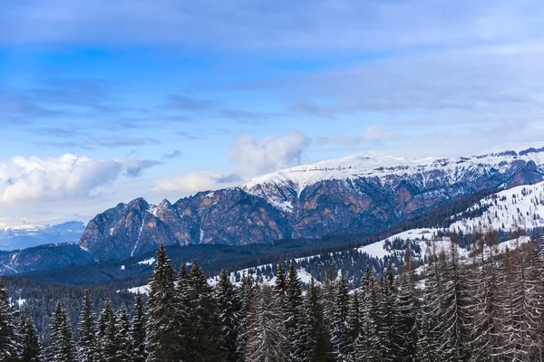 Increíble Vista Naturaleza Con Árboles Nevados — Foto de Stock