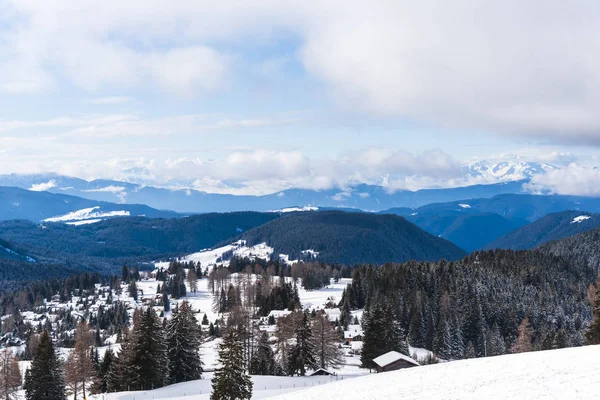 Increíble Vista Naturaleza Con Árboles Nevados — Foto de Stock