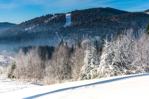 Increíble Vista Naturaleza Con Árboles Nevados — Foto de Stock