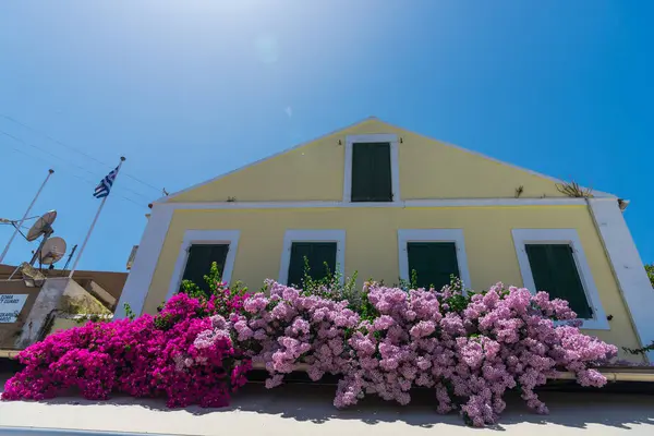 Rosa Blommande Träd Hus Starkt Solljus — Stockfoto