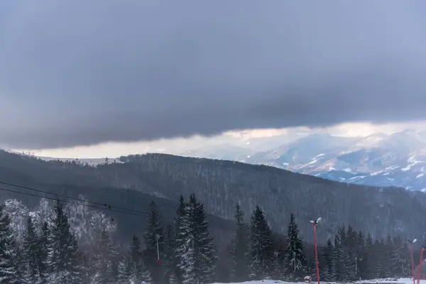 Increíble Vista Naturaleza Con Árboles Nevados — Foto de Stock