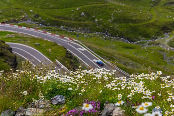 Fascinerande Natur Med Utsikt Över Bergen Grönska Och Blå Mulen — Stockfoto