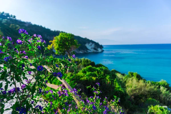 Vista Fascinante Natureza Com Lagoa Azul — Fotografia de Stock