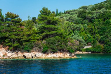 Kıyı alanı görünümünü deniz ve mavi gökyüzü ile gür yeşilliklerle kaplı